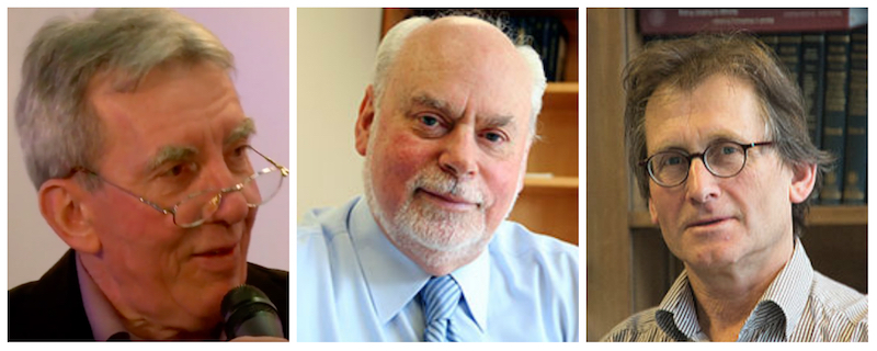 Il premio Nobel per la Chimica è stato assegnato a Sauvage, Stoddart e Feringa