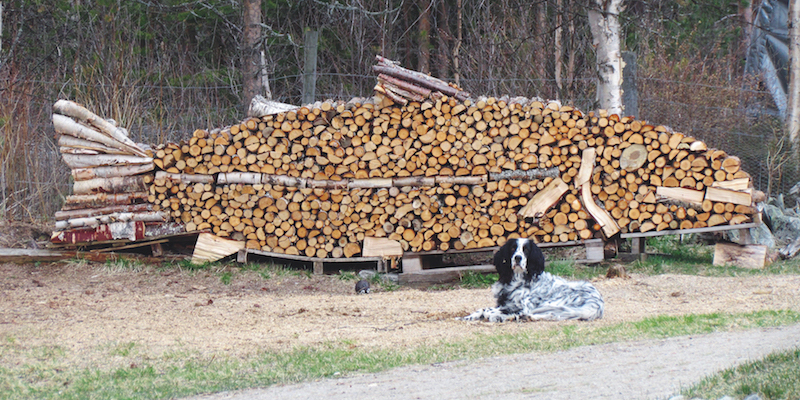 Una delle tante cataste di legna artistiche norvegesi, a Drevsjø ("Norwegian Wood"/Morten Aas)