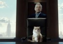 Il trailer italiano di "Una vita da gatto", con Kevin Spacey nel ruolo del gatto