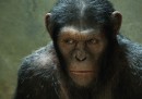 "L'alba del pianeta delle scimmie": cos'è e com'è