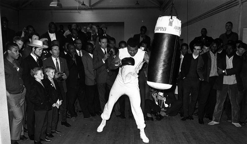 Un regalo di Natale al giorno: -30