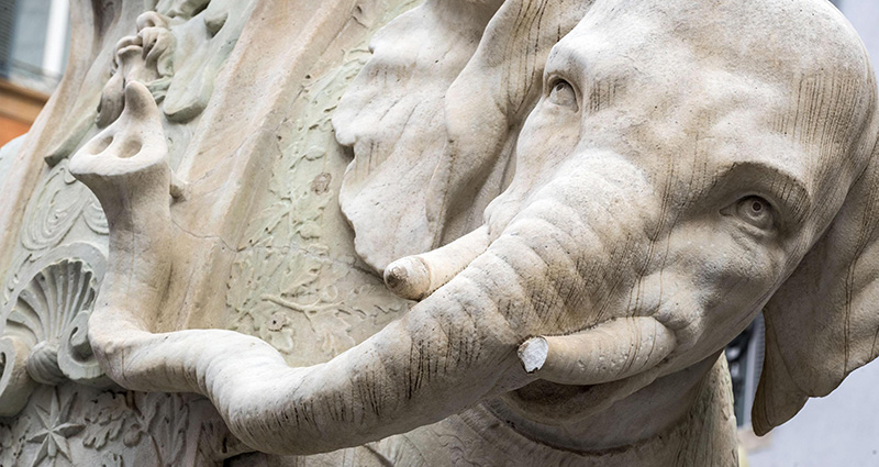 L'elefante della Minerva fotografato il 14 novembre 2016 dopo il danneggiamento (ANSA / MASSIMO PERCOSSI)