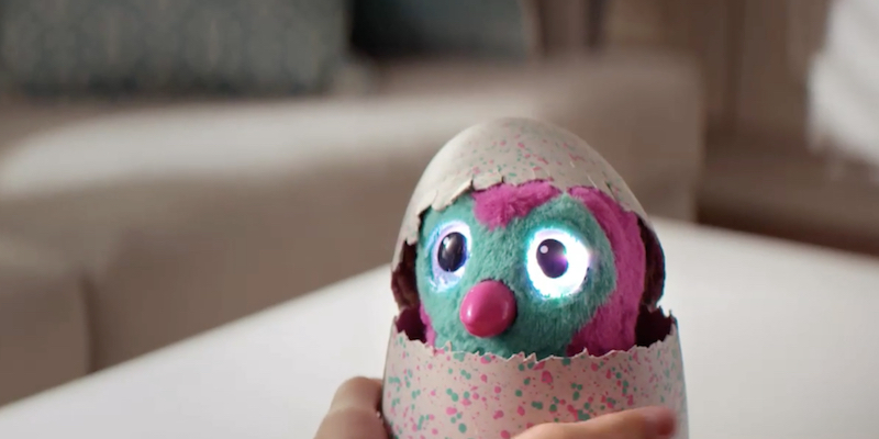 (Hatchimals)