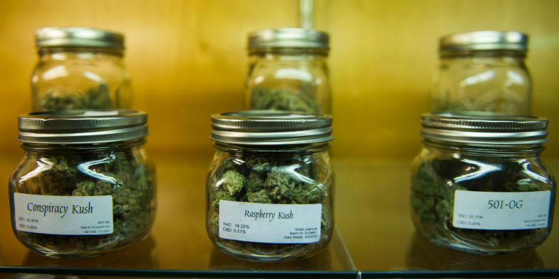 Dei barattoli di marijuana in vendita in un negozio di Eugene, in Oregon ( ANDREW CABALLERO-REYNOLDS/AFP/Getty Images)