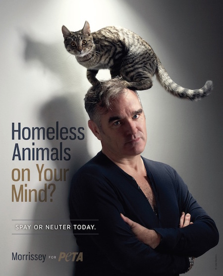 Rock Icon Morrissey Promotes Spaying and Neutering