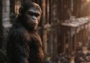 Cose da sapere su "Apes Revolution - Il pianeta delle scimmie"