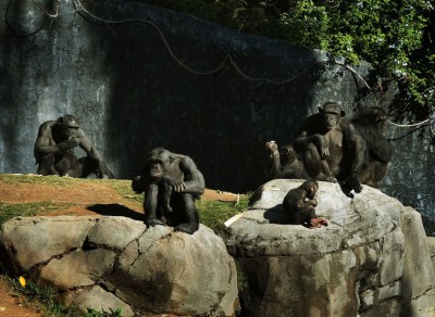 Los Angeles, California, Stati Uniti