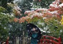 Le foto della prima, insolita, neve in Giappone