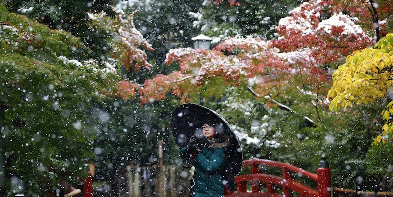 Nel giardino del tempio Tsurugaoka Hachimangu a Kamakura, 24 novembre 2016
(AP Photo/Shizuo Kambayashi)