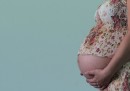La gravidanza causa cambiamenti duraturi nel cervello