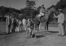 Jesse Owens vs cavallo