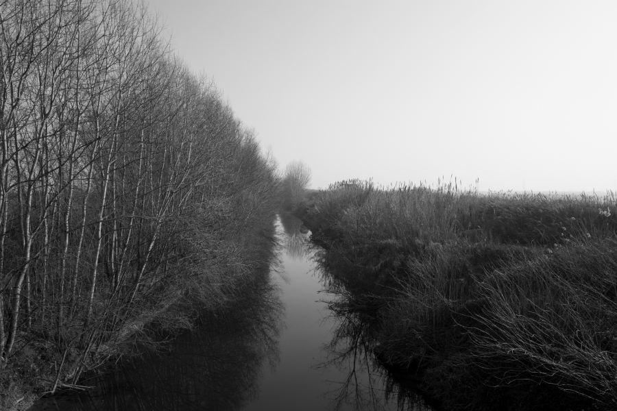 Come molte cose dette