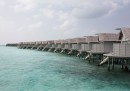 36. Maldive
