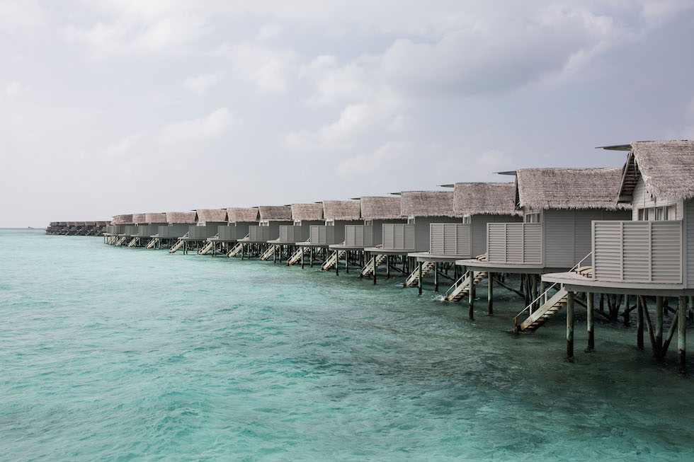 36. Maldive