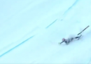 Il video della caduta della sciatrice Nadia Fanchini