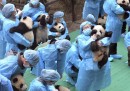Come si fa a mettere in posa 23 cuccioli di panda