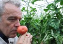 Gli scienziati vogliono darci pomodori più buoni