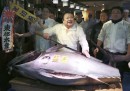 A Tokyo un tonno è stato venduto per 600mila euro
