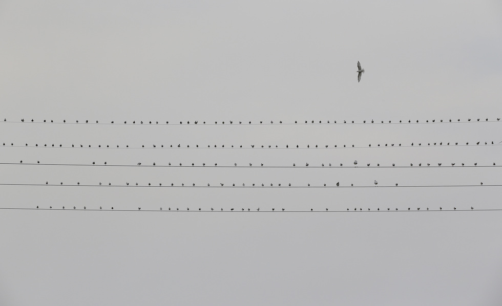 Venerdì 17 febbraio