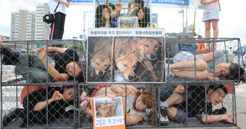 Una protesta contro il mercato dei cani di Seongnam, nel 2010 (PARK JI-HWAN/AFP/Getty Images)