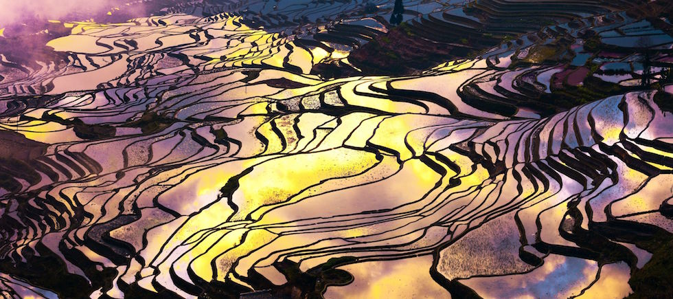 Mercoledì 15 febbraio