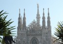 Hanno provato a bruciare le palme di piazza Duomo, a Milano
