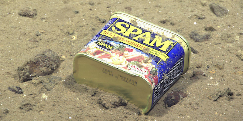 Una scatola di carne Spam a 4.947 metri sotto il livello del mare in una discesa che porta all'Abisso Sirena, lungo la Fossa delle Marianne (NOAA Office of Ocean Exploration and Research, 2016 Deepwater Exploration of the Marianas)