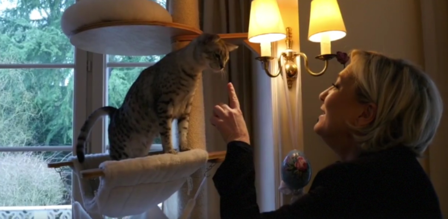 Marine Le Pen vuole farci tenerezza con i gattini