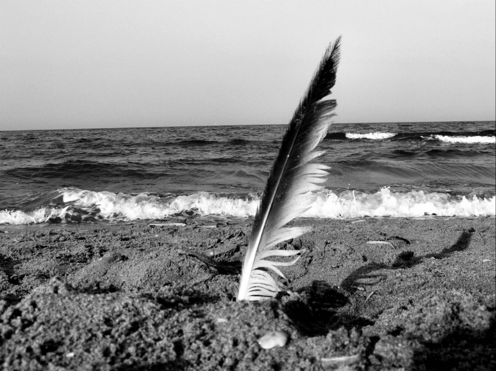 Le poche cose importanti