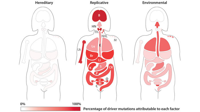 aaf9011_SupportingFile_Figure_fig3_seq3_v4_draft-1_16x9