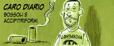 Bossoli e accipitriformi