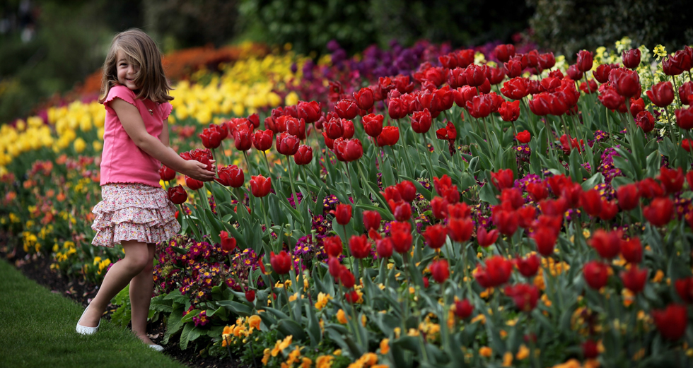 (Dan Kitwood/Getty Images)