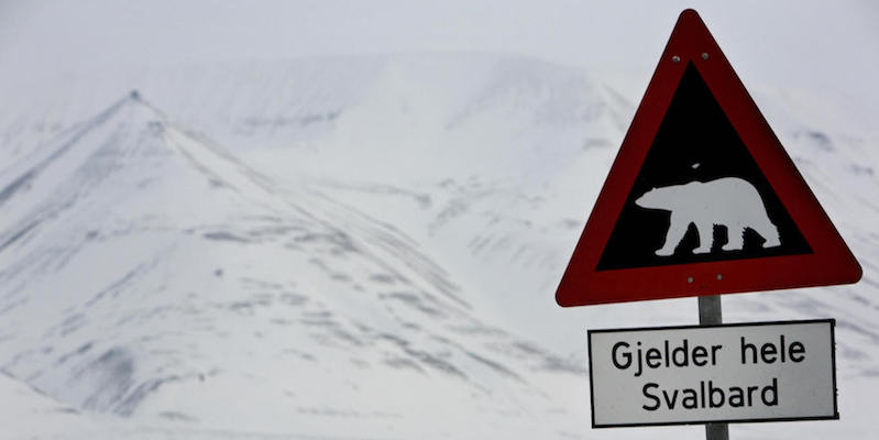 Un cartello che segnala agli automobilisti la presenza di orsi bianchi, fuori dalla città di Longyearbyen, in Norvegia
(DANIEL SANNUM LAUTEN/AFP/Getty Images)