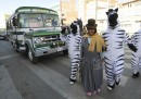 Le zebre che dirigono il traffico a La Paz