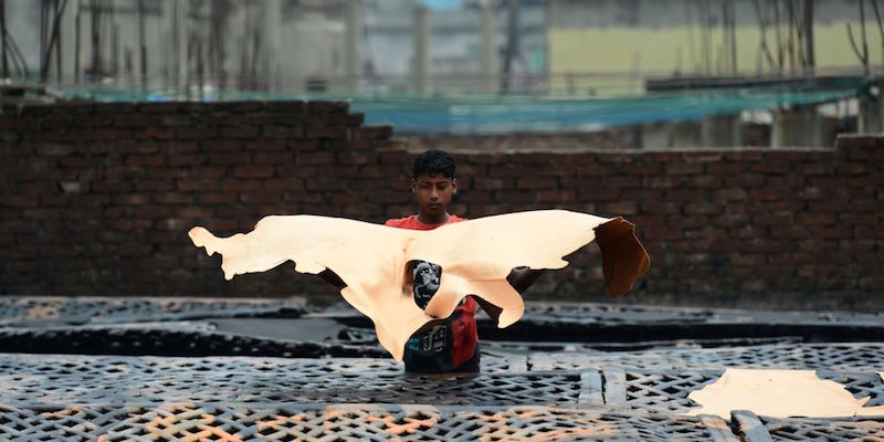 Un uomo bengalese stende del cuoio in una conceria a Dhaka
(AFP/Getty Images)