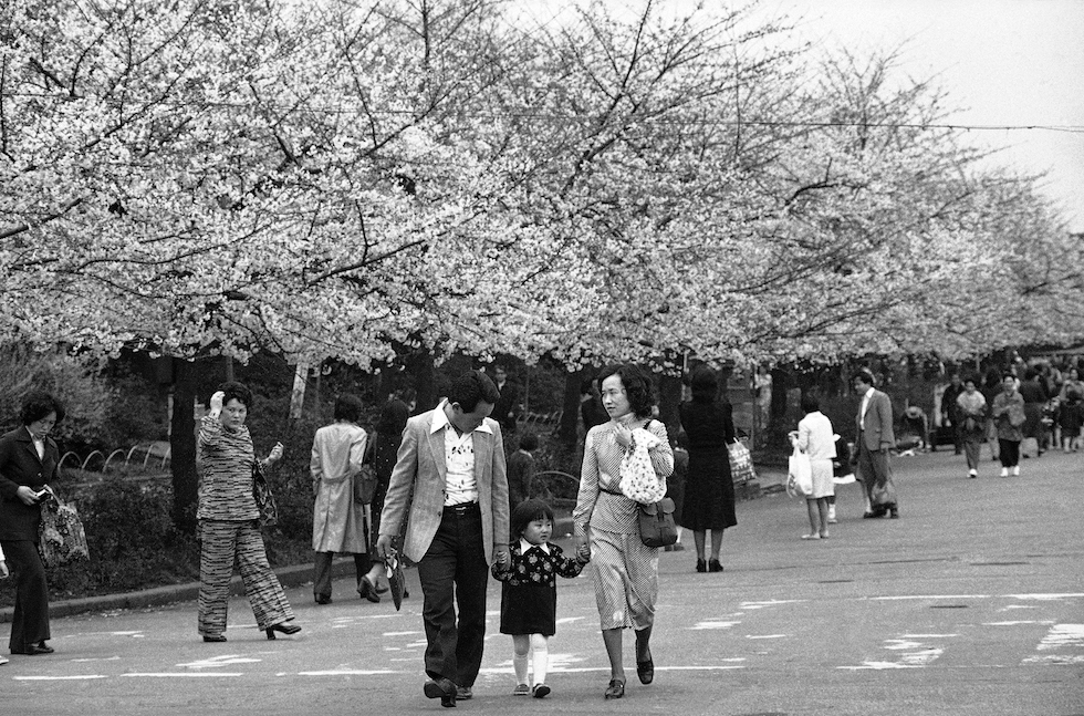 Primavera giapponese