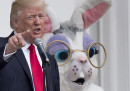 Le foto della prima festa di Pasqua dei Trump alla Casa Bianca