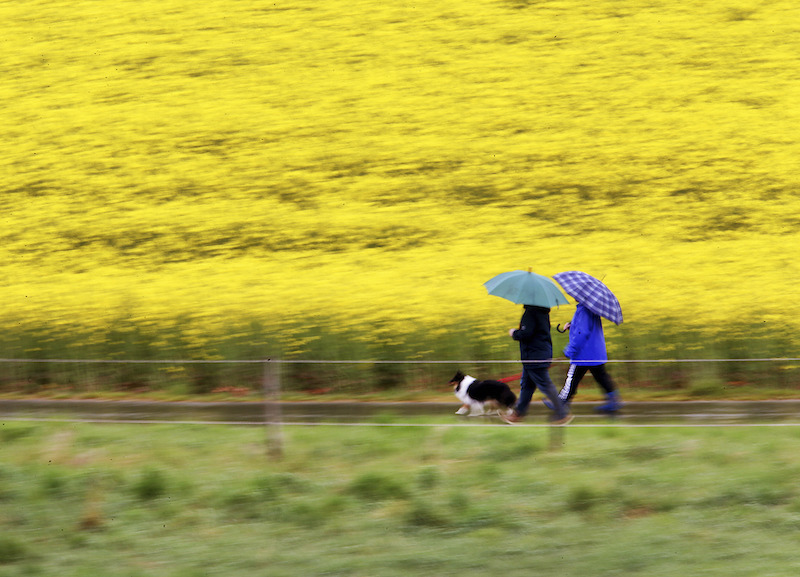 Il mio rosario di benedizioni