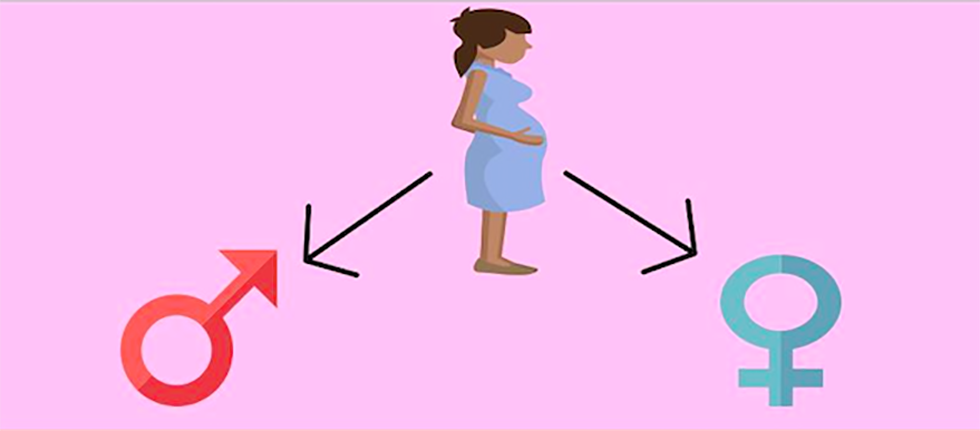 Schermata 2017-05-29 alle 11.34.30