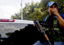 In Messico c'è un esercito che difende gli avocado