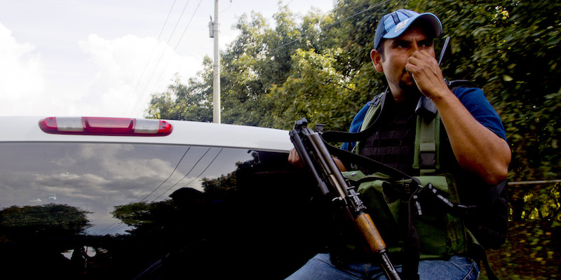 In Messico c'è un esercito che difende gli avocado