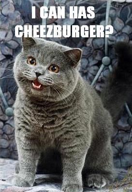 i-can-has-cheezburger