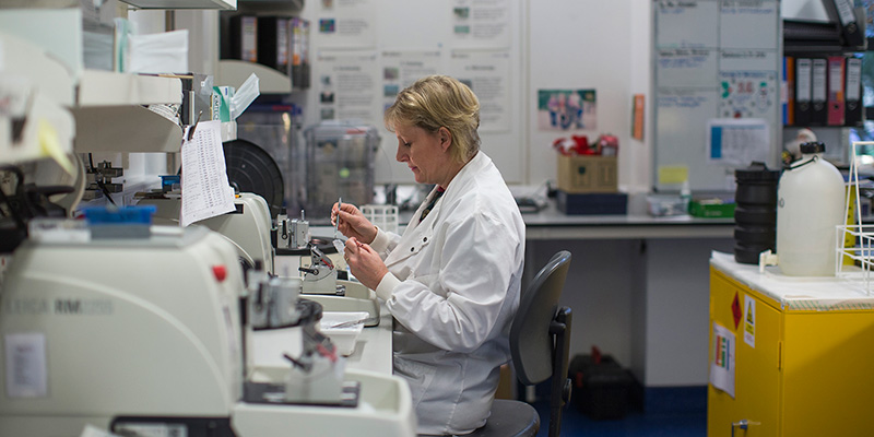 Un laboratorio per le ricerche sui tumori a Cambridge, Regno Unito (Dan Kitwood/Getty Images/Cancer Research UK)