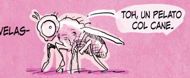 Moscerini e telenovelas