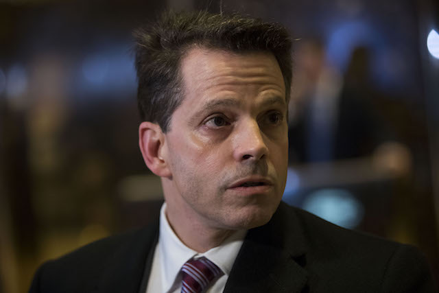Anthony Scaramucci (Drew Angerer/Getty Images)