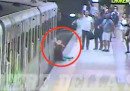 Il video della donna trascinata dalla metropolitana a Roma