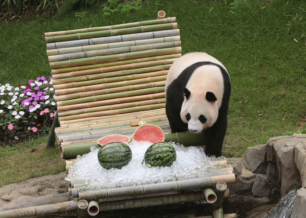 Mercoledì 12 luglio