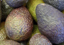 Gravi problemi neozelandesi: il furto degli avocado