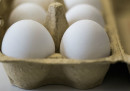 Le uova contaminate sono arrivate in Italia?