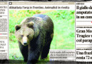 La storia dell'orsa uccisa in Trentino